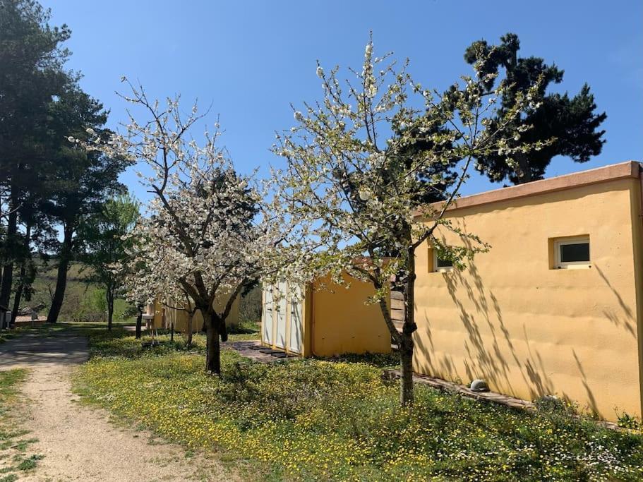 B&B Helga'S Agricampeggio Seùlo Kültér fotó