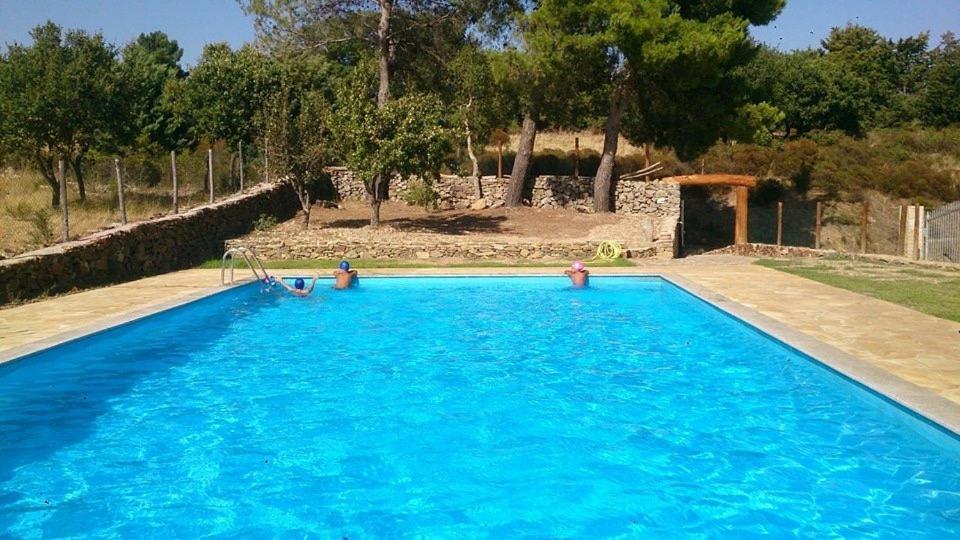 B&B Helga'S Agricampeggio Seùlo Kültér fotó