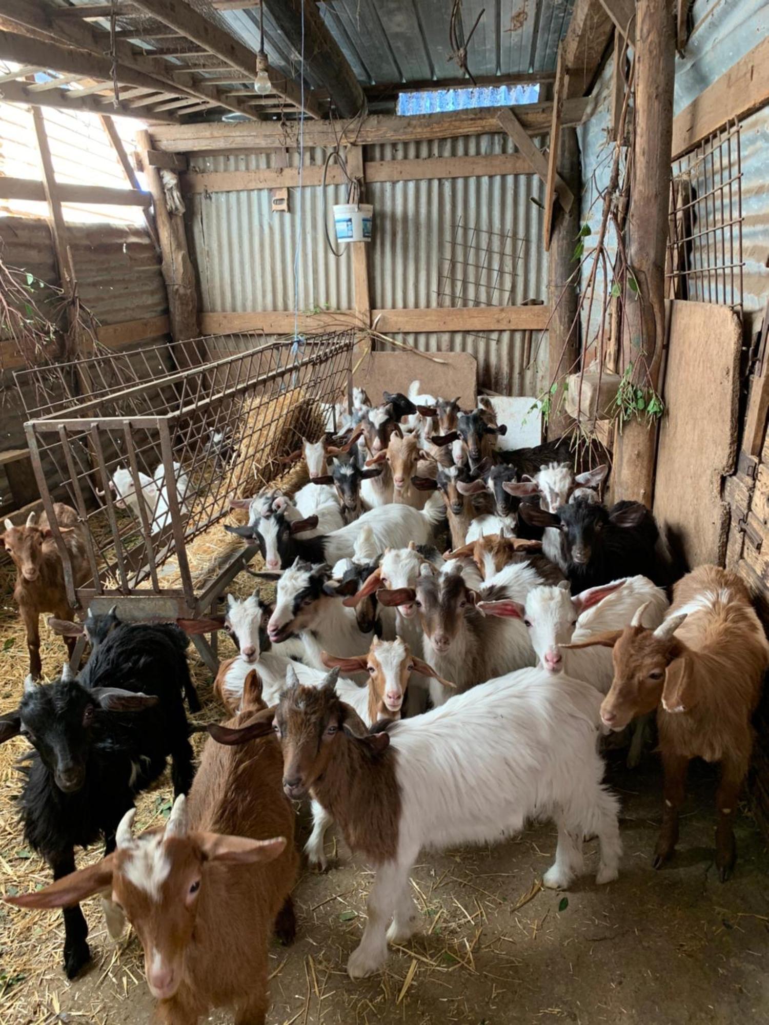 B&B Helga'S Agricampeggio Seùlo Kültér fotó